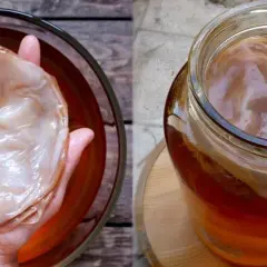 Kombucha - gdzie kupić i jak samodzielnie zrobić zdrowy napój?
