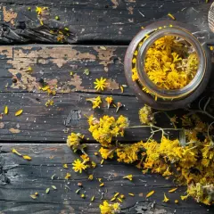 Ziele gojnika - naturalny sposób na problemy z trawieniem