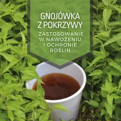 Jakie rośliny podlewać herbatą i dlaczego warto to robić: poradnik ogrodnika