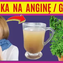 Jak zrobić herbatę z geranium: prosty przepis na zdrowy domowy napar