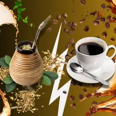 Yerba mate: Ile naprawdę zawiera kofeiny? Poznajemy fakty i mity
