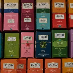 Gdzie kupić herbatę Loyd? Kompletna lista sklepów i aktualne promocje