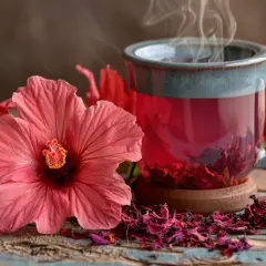 Hibiskus - nie tylko piękny kwiat, ale i zdrowa herbata