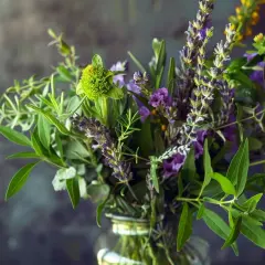 Jak stworzyć piękny i aromatyczny bukiet z ziół? Poradnik DIY