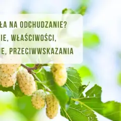 Prawidłowe dawkowanie herbaty z morwy białej - skuteczna kuracja w domu