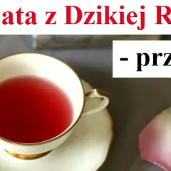 Jak zrobić herbatę z dzikiej róży: prosty przepis krok po kroku