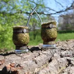 Yerba mate w Łodzi: 5 miejsc, gdzie kupisz najwyższej jakości
