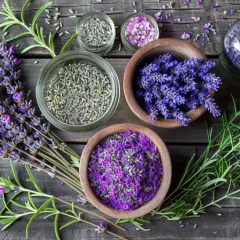 Lawenda - jak uprawiać i stosować aromatyczne liście?
