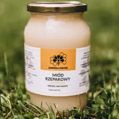 Miód rzepakowy – właściwości, zastosowanie i korzyści zdrowotne, które musisz znać