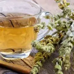 Jak zrobić grecką herbatę górską: prosty przepis na aromatyczny napar