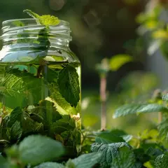 Herbaty na odporność - naturalna tarcza ochronna organizmu