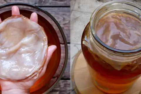 Kombucha - gdzie kupić i jak samodzielnie zrobić zdrowy napój?