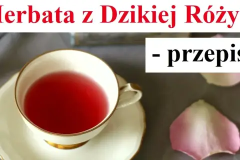 Jak zrobić herbatę z dzikiej róży: prosty przepis krok po kroku