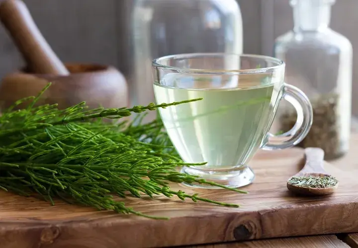 Domowy napar ze skrzypu na włosy - prosty sposób na zdrowe i mocne włosy