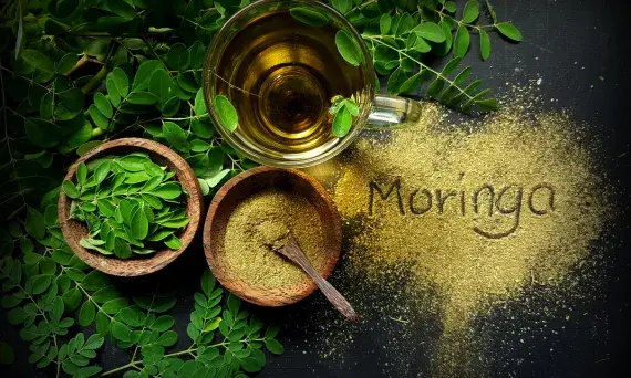 Jak prawidłowo pić herbatę moringa - kompletny poradnik parzenia naparu