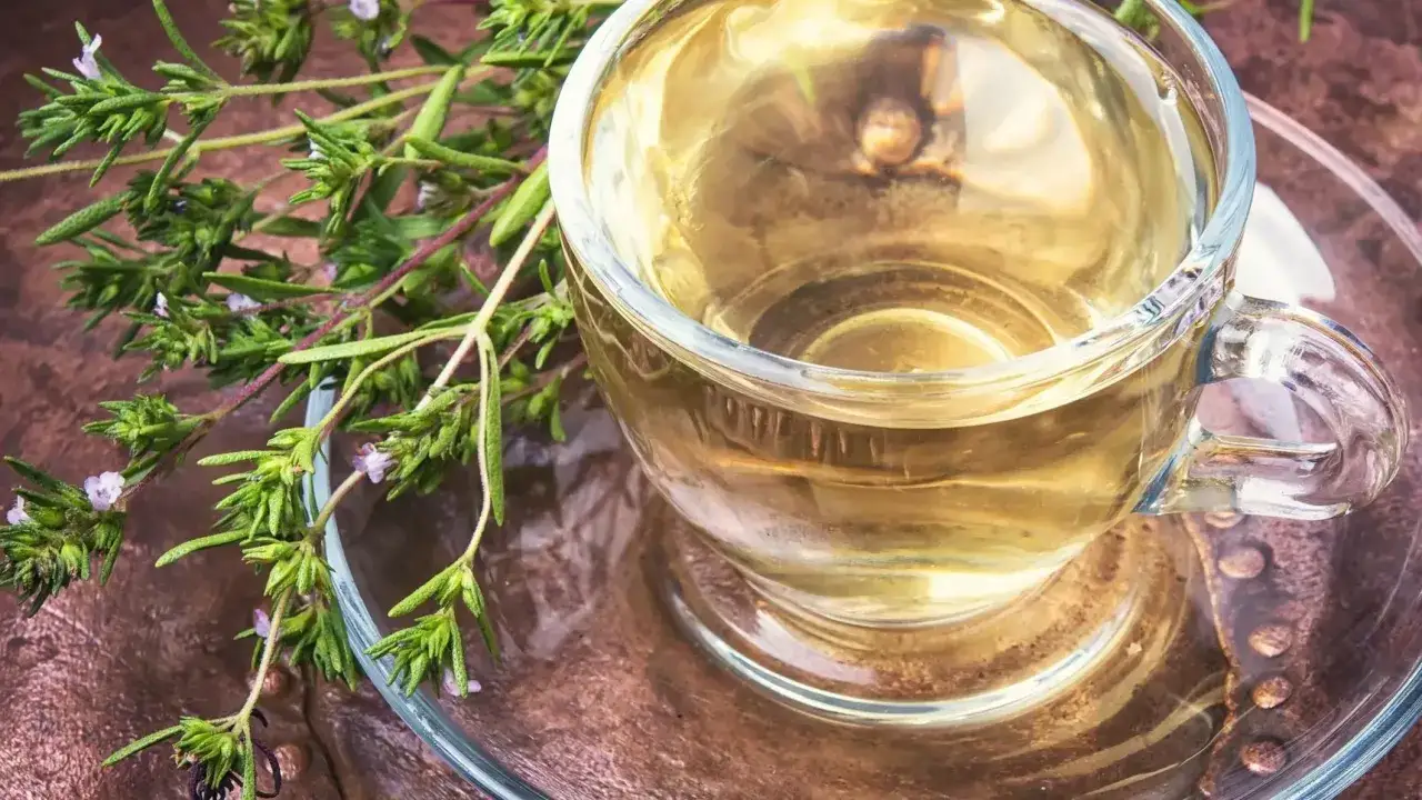 Zdjęcie Jak prawidłowo przygotować herbatę z oregano - prosty przepis krok po kroku